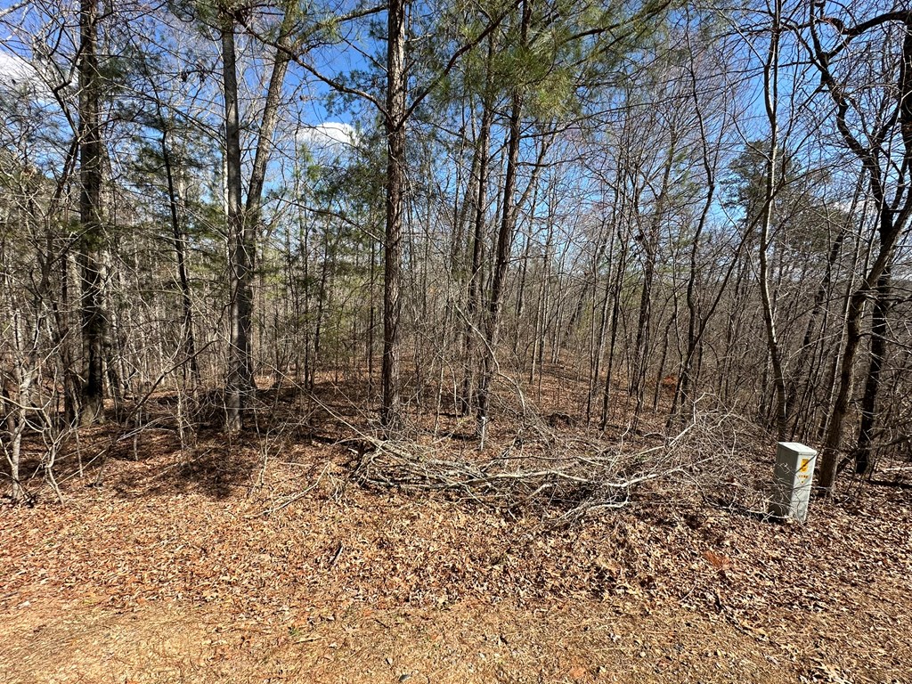 Lot 33 Harris Creek Drive Property Photo 6