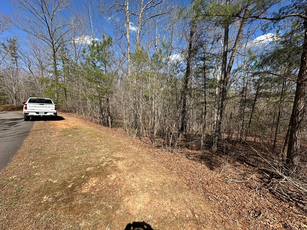 Lot 33 Harris Creek Drive Property Photo 7