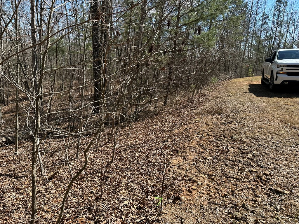 Lot 33 Harris Creek Drive Property Photo 8