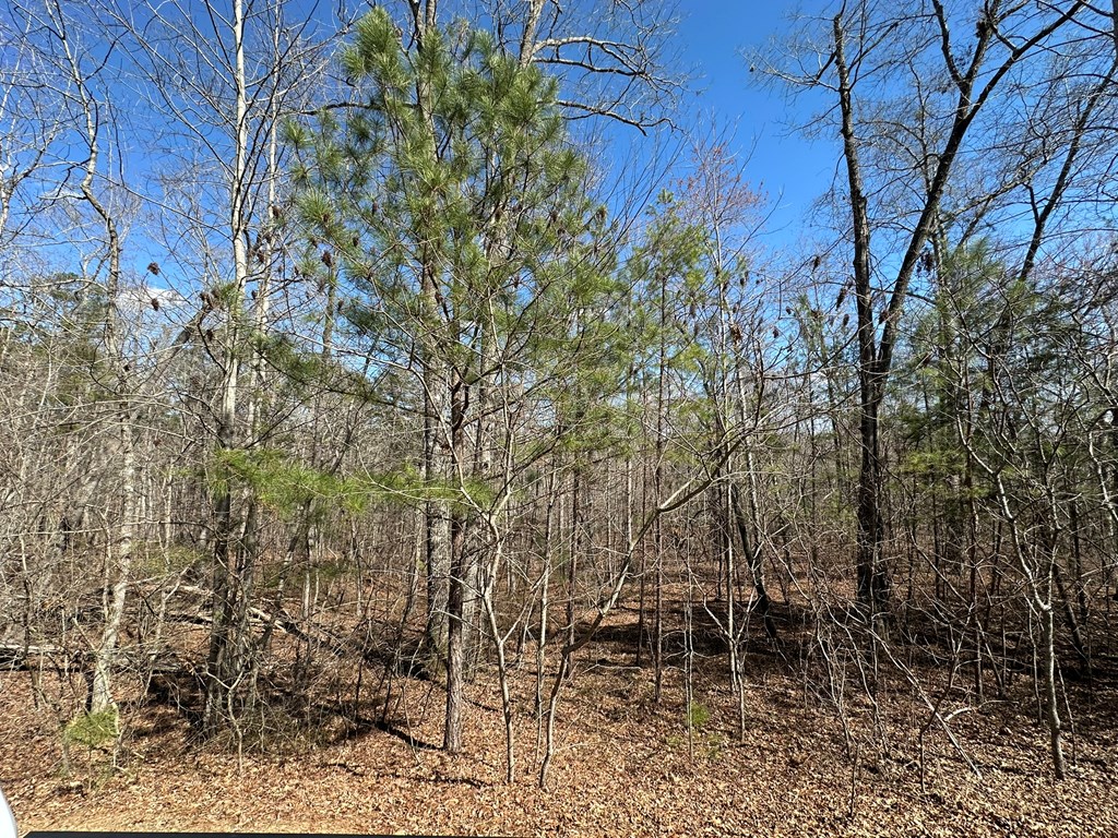 Lot 33 Harris Creek Drive Property Photo 9