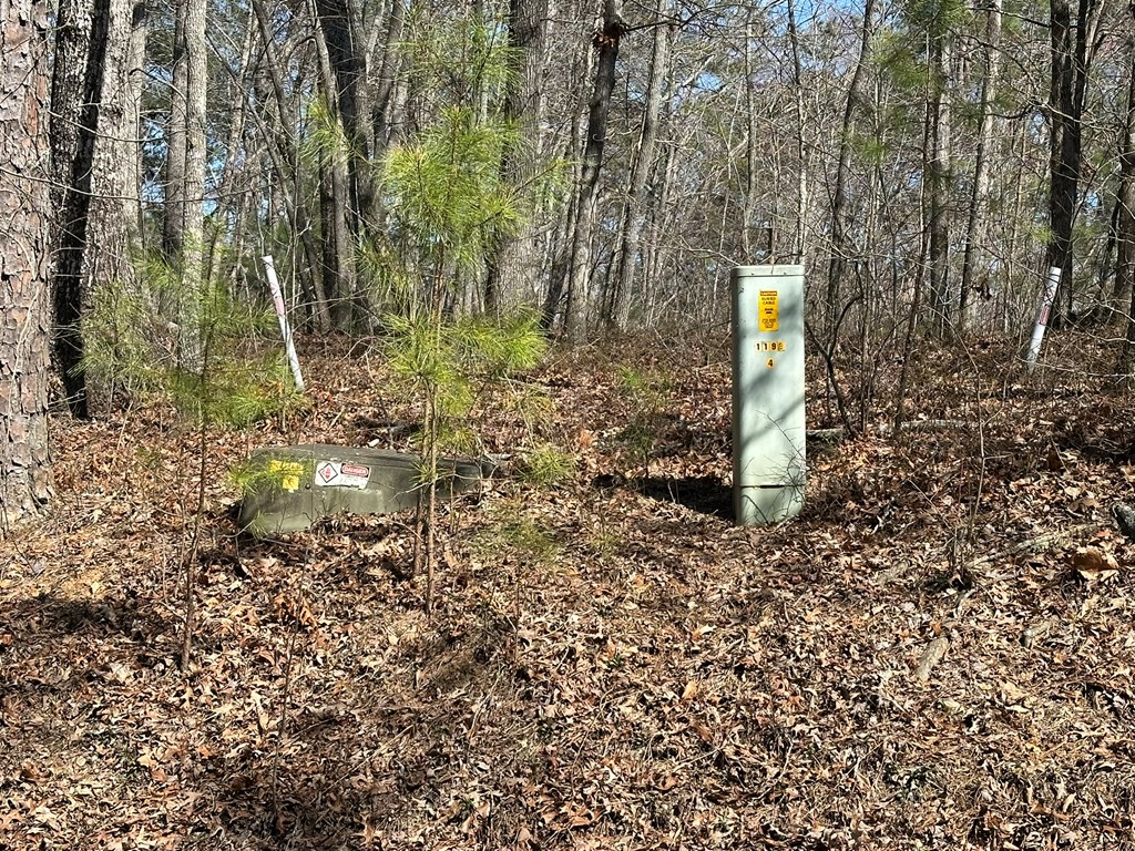 Lot 33 Harris Creek Drive Property Photo 10
