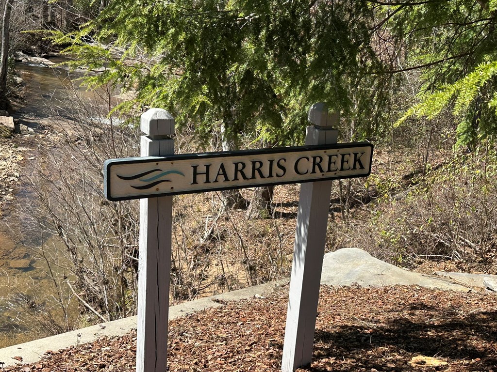 Lot 33 Harris Creek Drive Property Photo 13