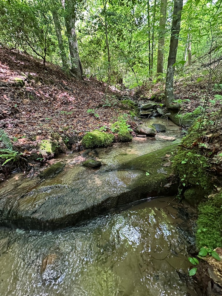 12.34 Ac Tranquility Cove Road Property Photo 6