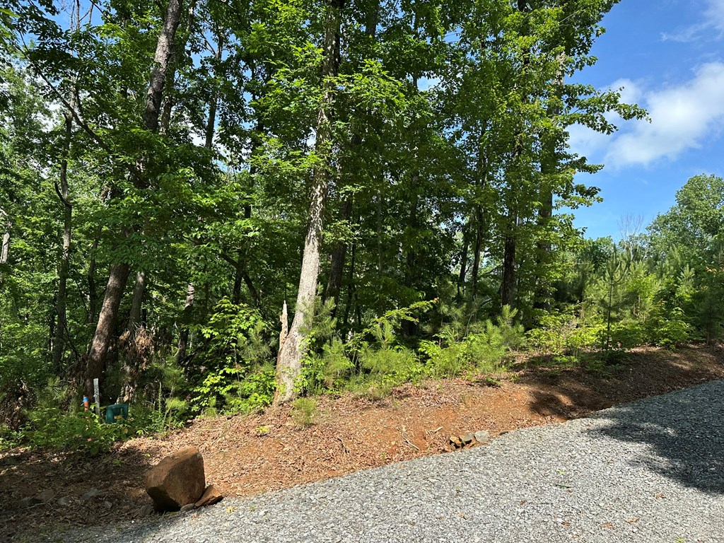 12.34 Ac Tranquility Cove Road Property Photo 11