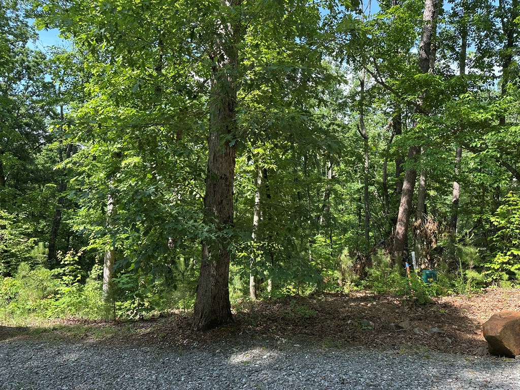 12.34 Ac Tranquility Cove Road Property Photo 12