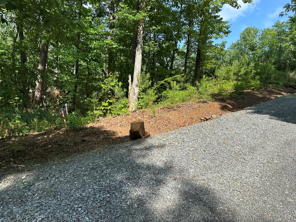 12.34 Ac Tranquility Cove Road Property Photo 13