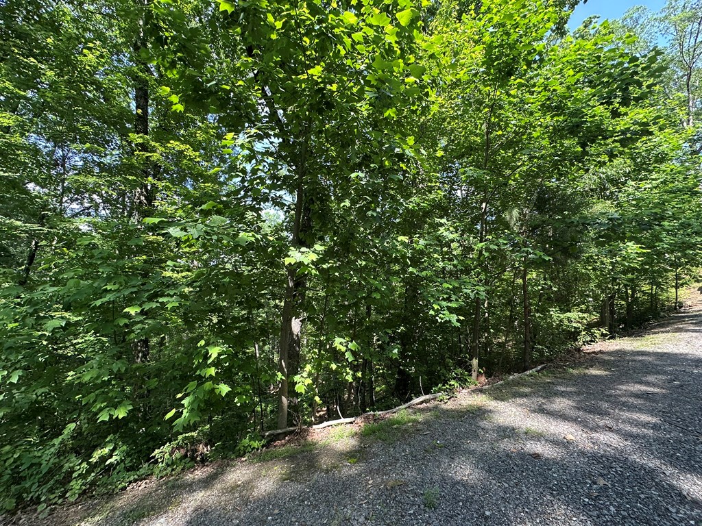 12.34 Ac Tranquility Cove Road Property Photo 17