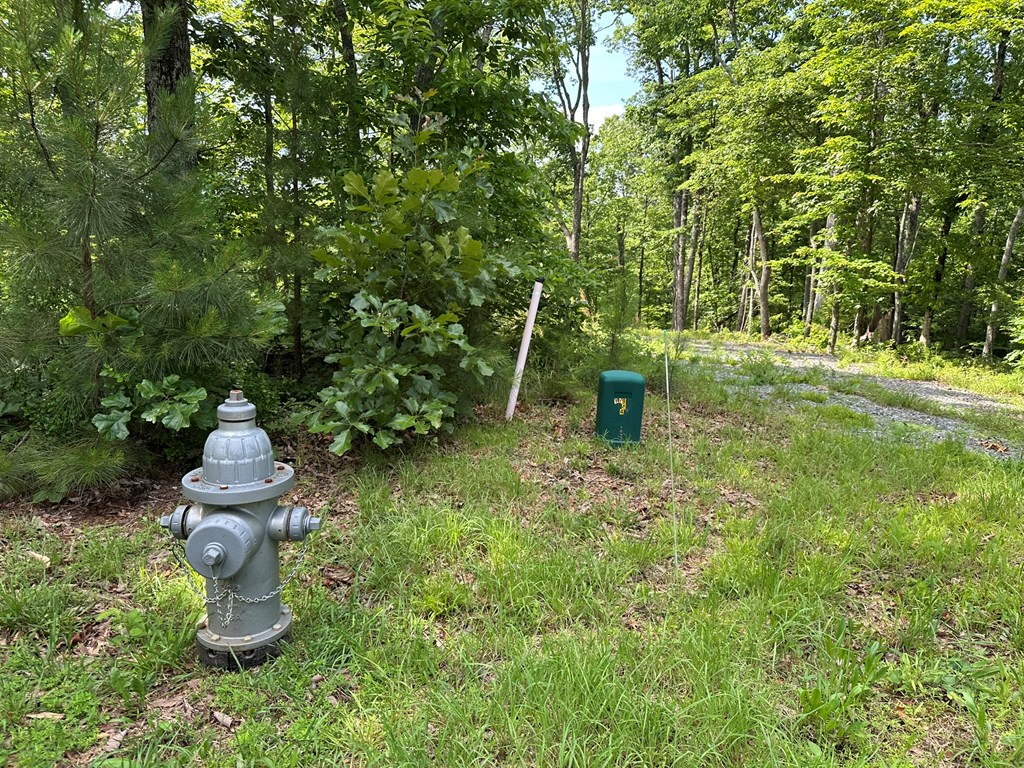 12.34 Ac Tranquility Cove Road Property Photo 18