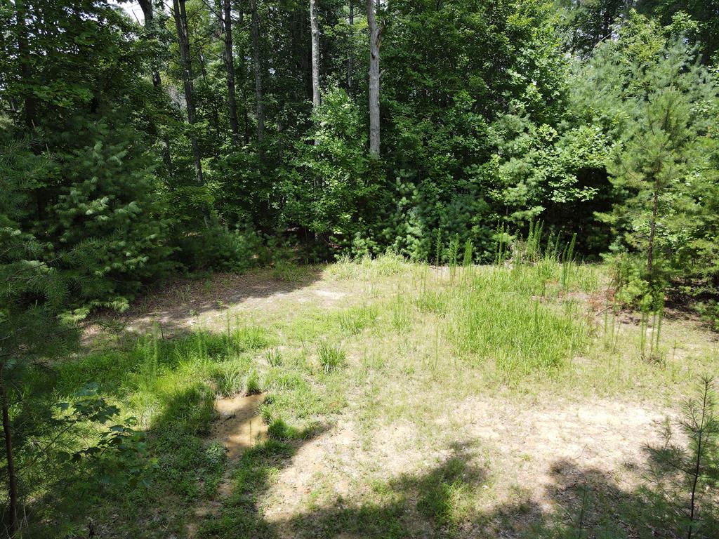 Lot 4 Scouts Overlook Lane Property Photo 1