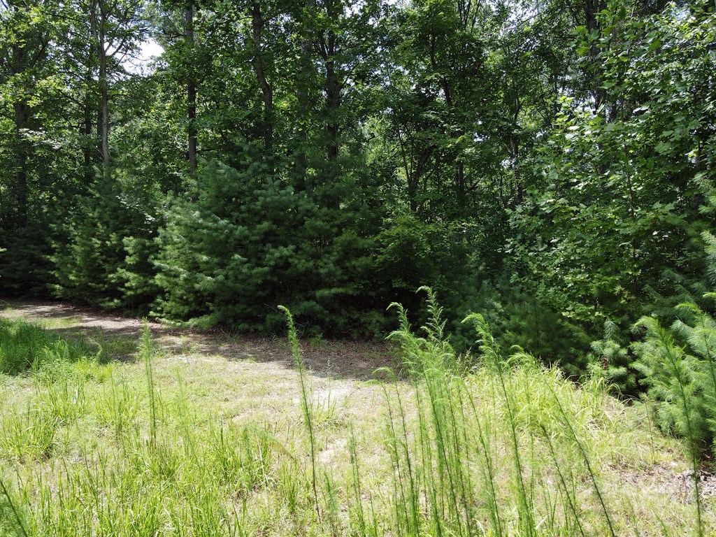 Lot 4 Scouts Overlook Lane Property Photo 6