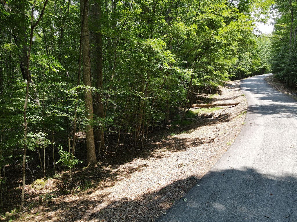 Lot 4 Scouts Overlook Lane Property Photo 8