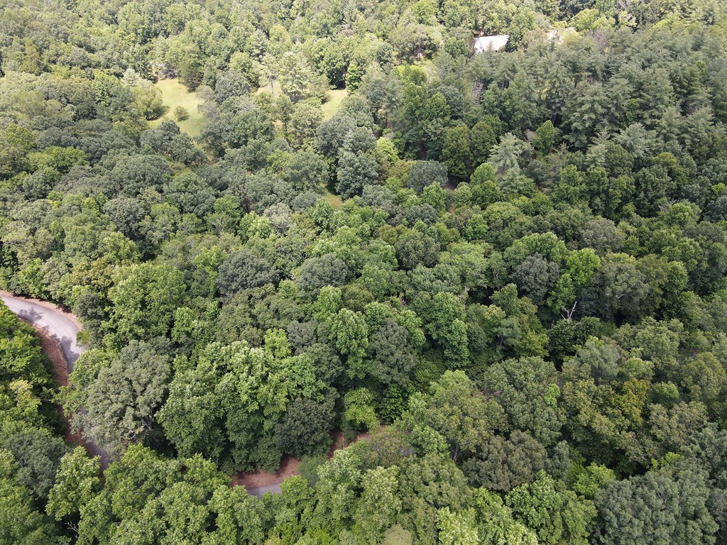 Lot 4 Scouts Overlook Lane Property Photo 10