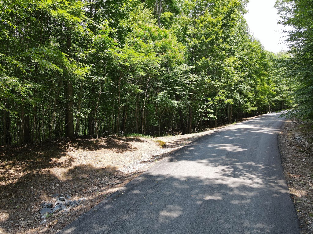 Lot 4 Scouts Overlook Lane Property Photo 11