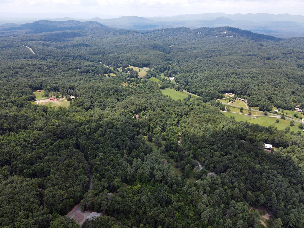 Lot 4 Scouts Overlook Lane Property Photo 12