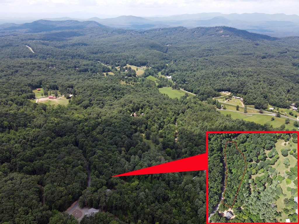 Lot 4 Scouts Overlook Lane Property Photo 13