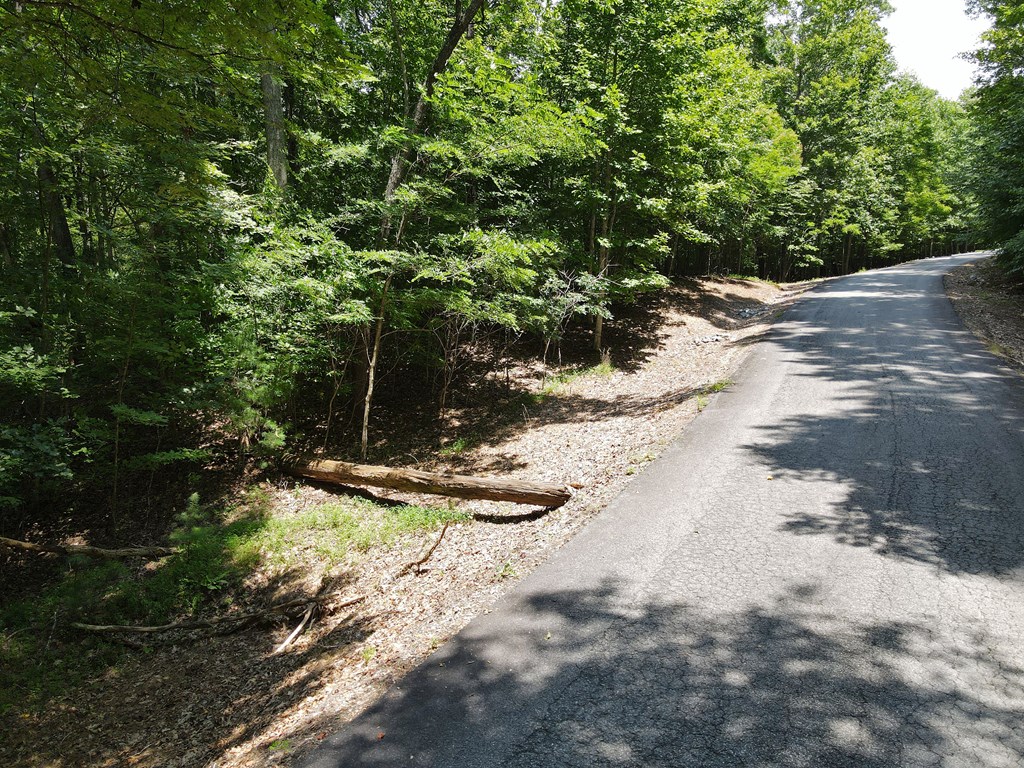 Lot 4 Scouts Overlook Lane Property Photo 14
