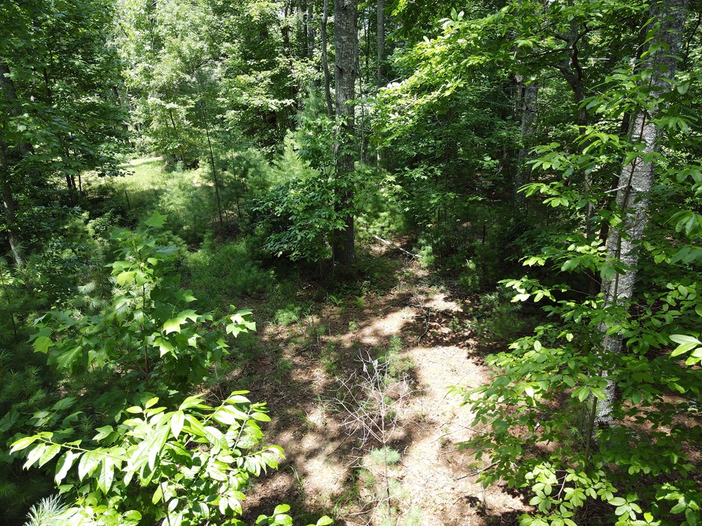 Lot 4 Scouts Overlook Lane Property Photo 15