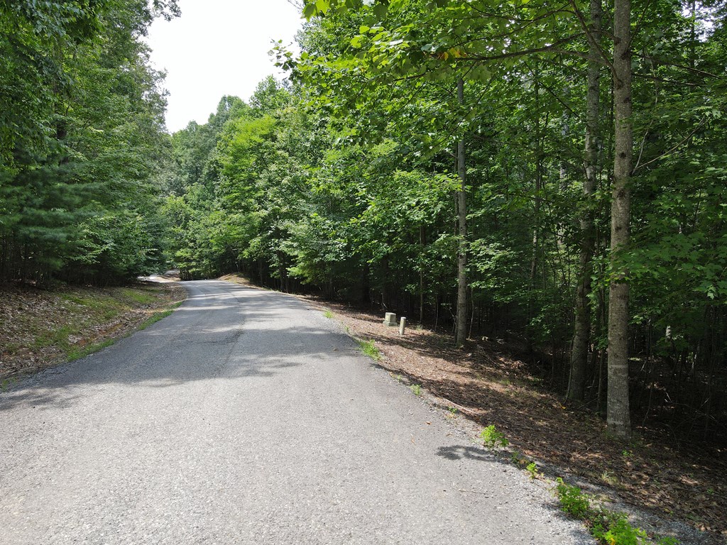 Lot 4 Scouts Overlook Lane Property Photo 18