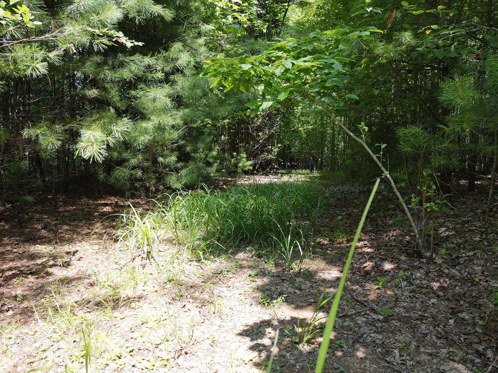 Lot 4 Scouts Overlook Lane Property Photo 20