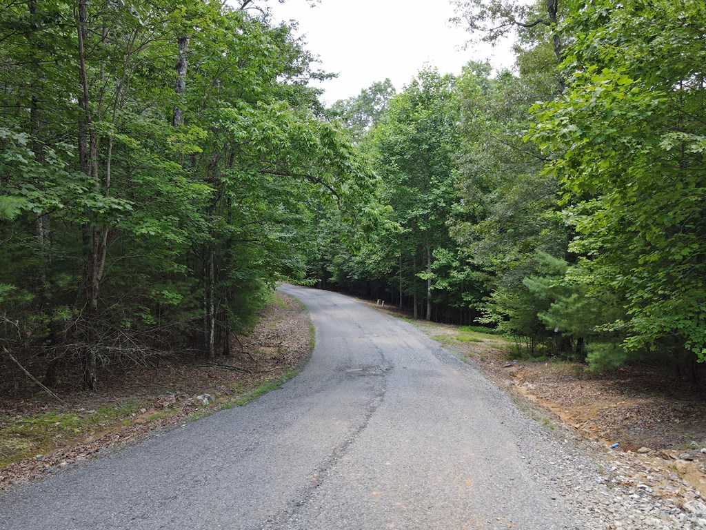 Lot 4 Scouts Overlook Lane Property Photo 22