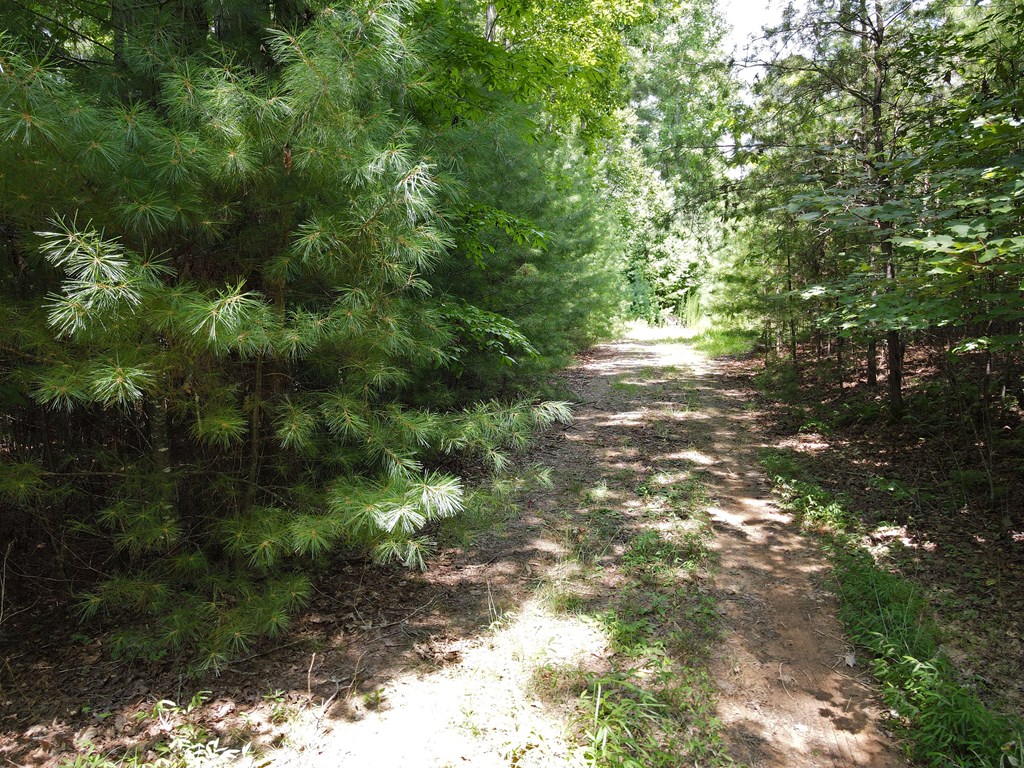 Lot 4 Scouts Overlook Lane Property Photo 23