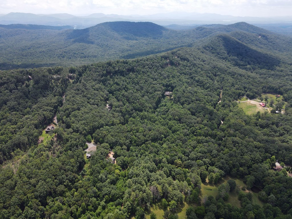 Lot 4 Scouts Overlook Lane Property Photo 24