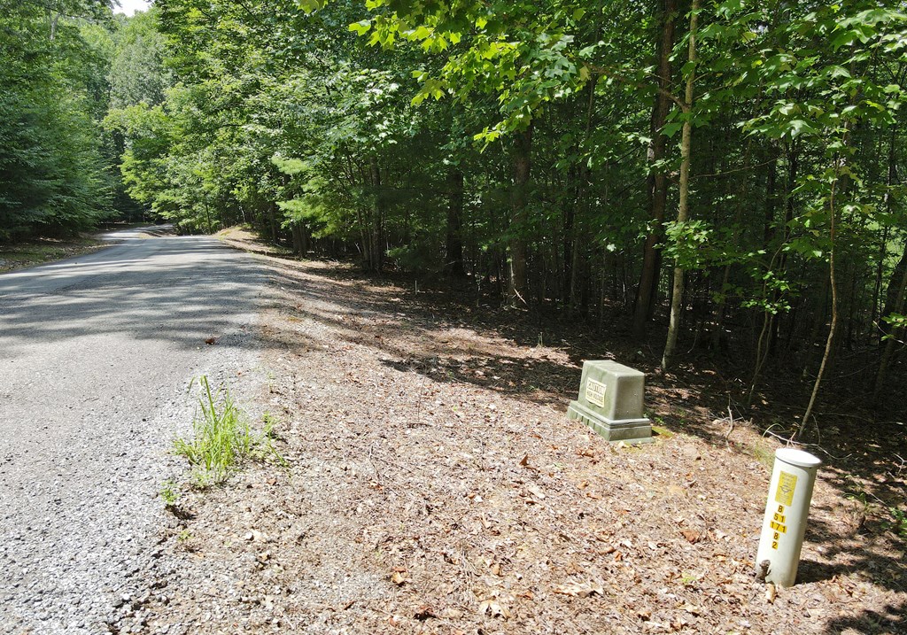 Lot 4 Scouts Overlook Lane Property Photo 27