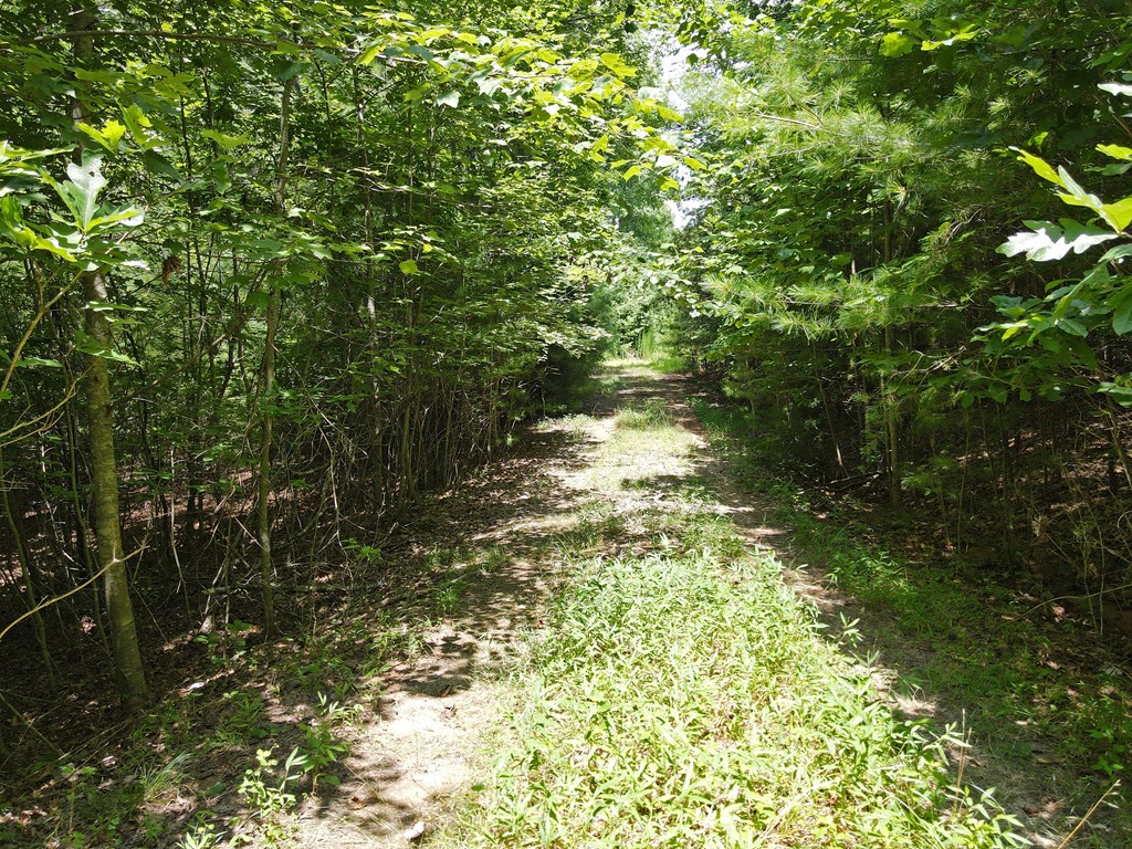 Lot 4 Scouts Overlook Lane Property Photo 28