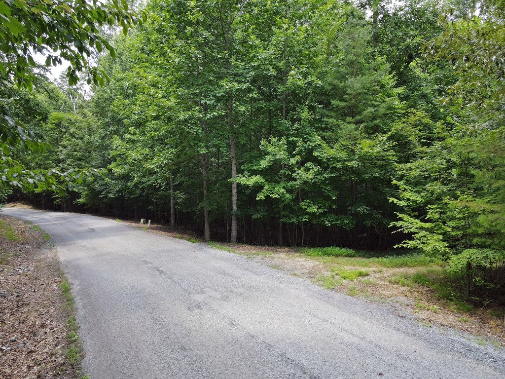 Lot 4 Scouts Overlook Lane Property Photo 29