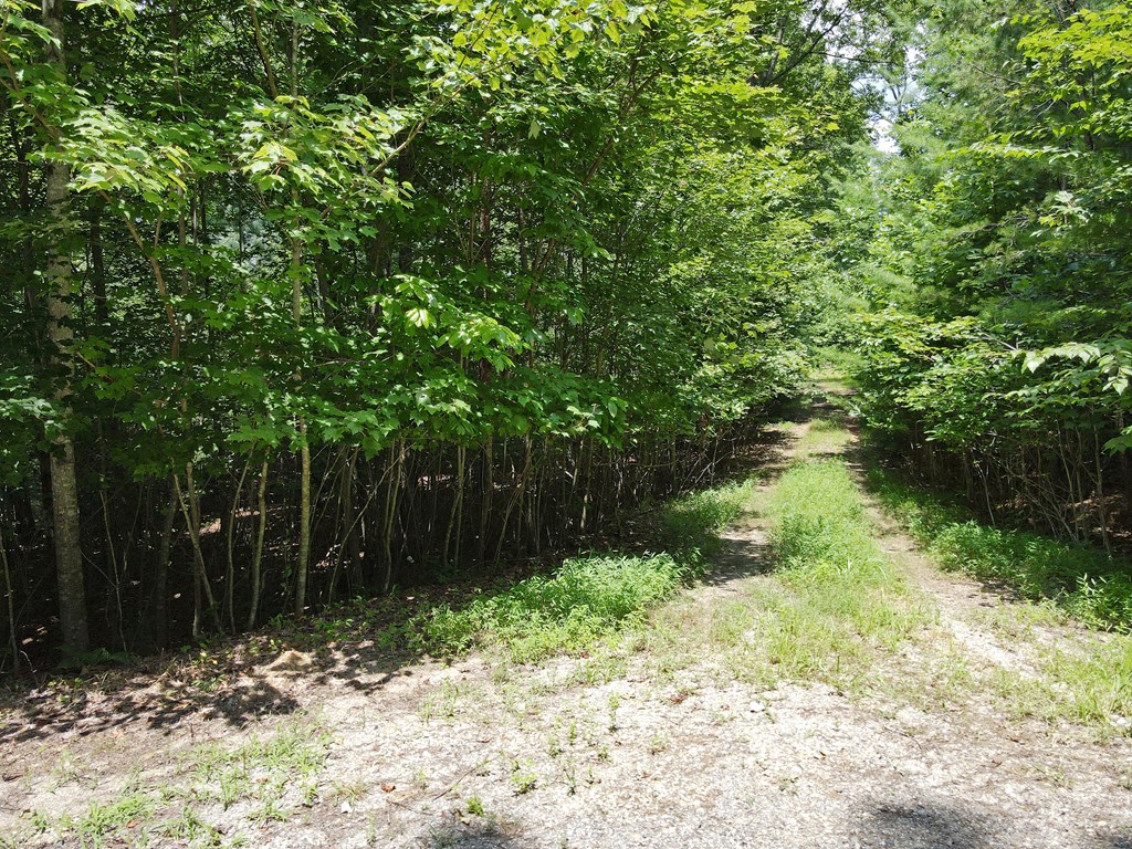 Lot 4 Scouts Overlook Lane Property Photo 30