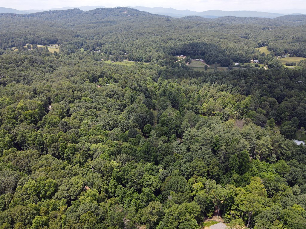 Lot 4 Scouts Overlook Lane Property Photo 31