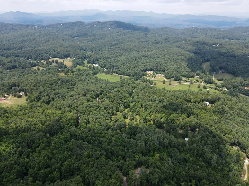 Lot 4 Scouts Overlook Lane Property Photo 32