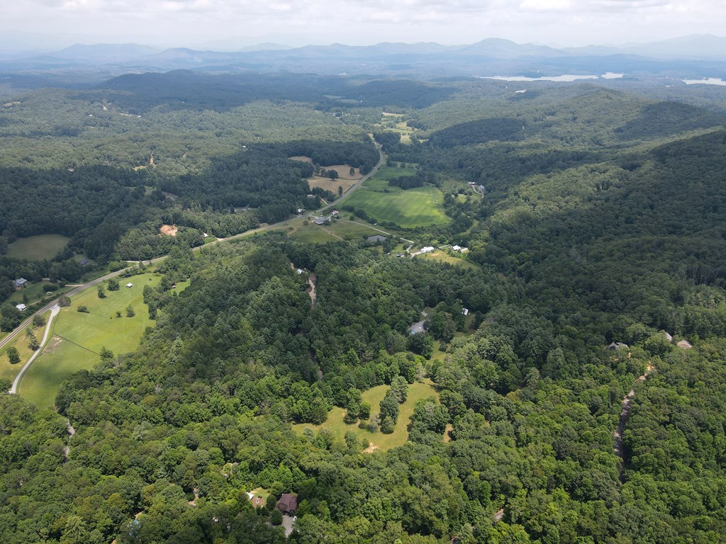 Lot 4 Scouts Overlook Lane Property Photo 36