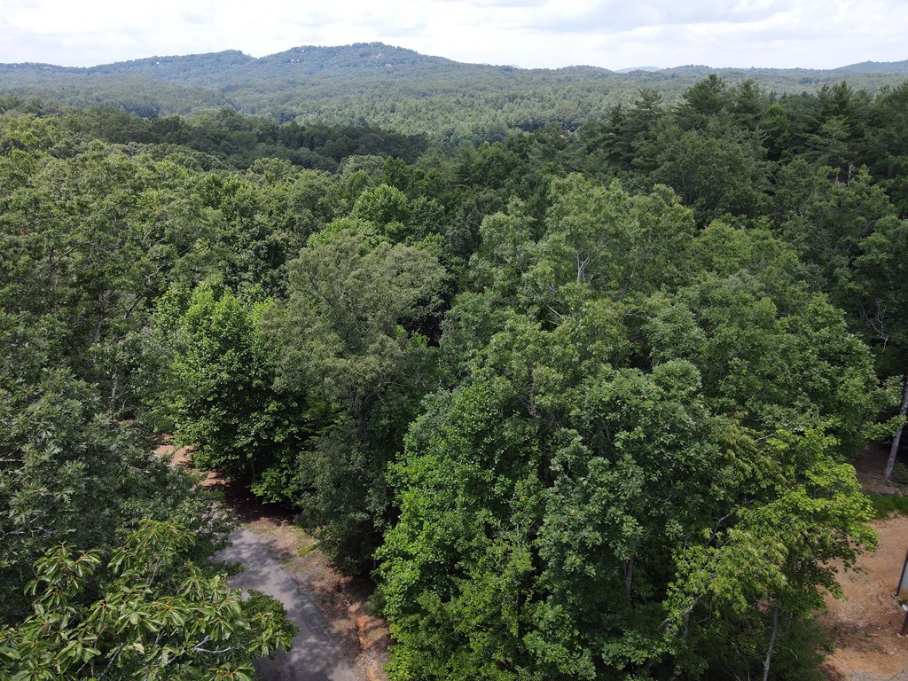 Lot 4 Scouts Overlook Lane Property Photo 37