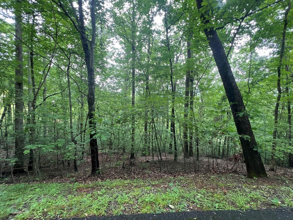 0 Ash Branch Circle Property Photo 1