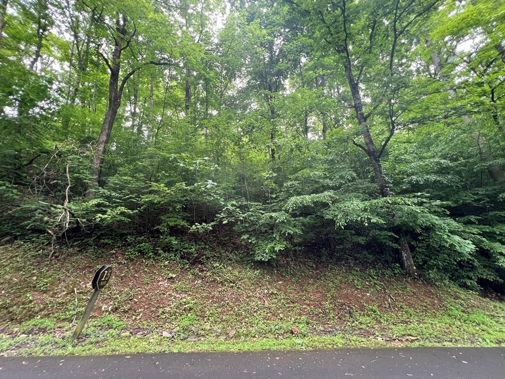 0 Ash Branch Circle Property Photo 2