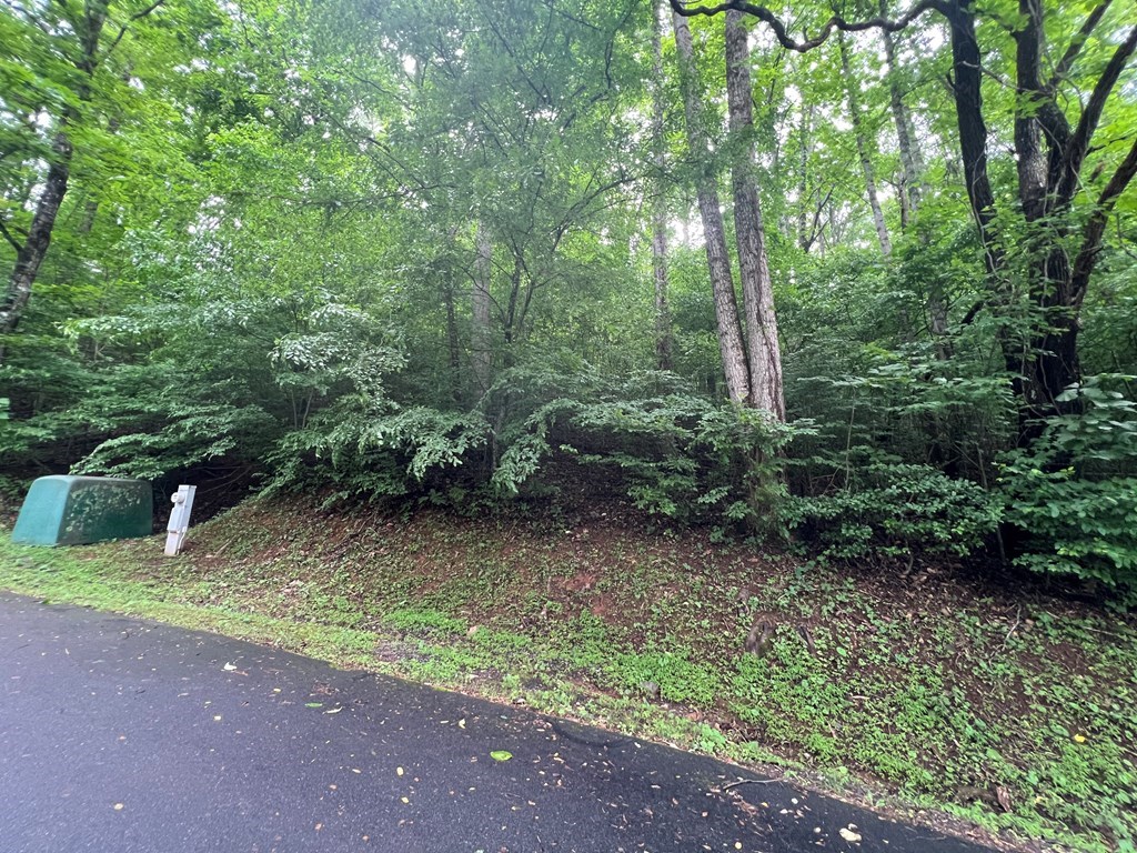 0 Ash Branch Circle Property Photo 3
