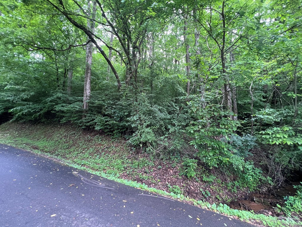 0 Ash Branch Circle Property Photo 4