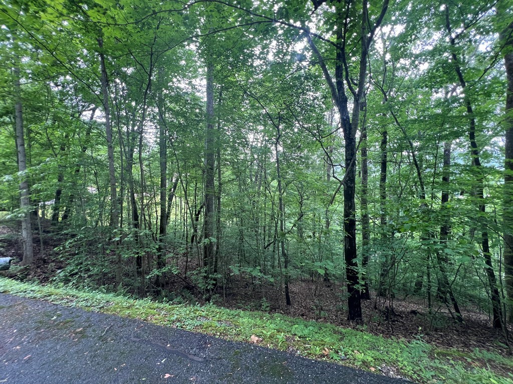 0 Ash Branch Circle Property Photo 6