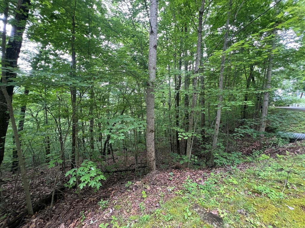 0 Ash Branch Circle Property Photo 7