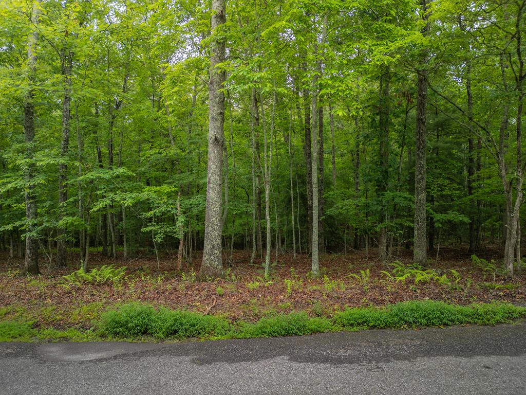 1.79 Ridge Road Property Photo 1
