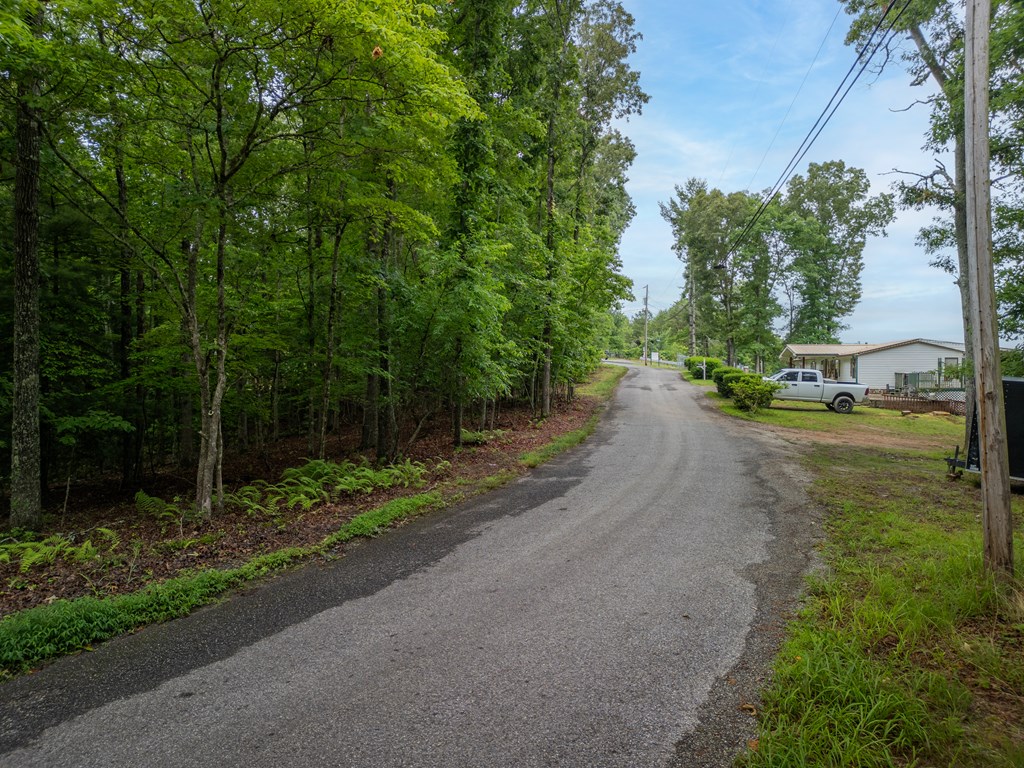 1.79 Ridge Road Property Photo 7