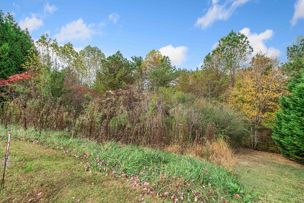 Lot 13 Ridgemont Drive Property Photo 6