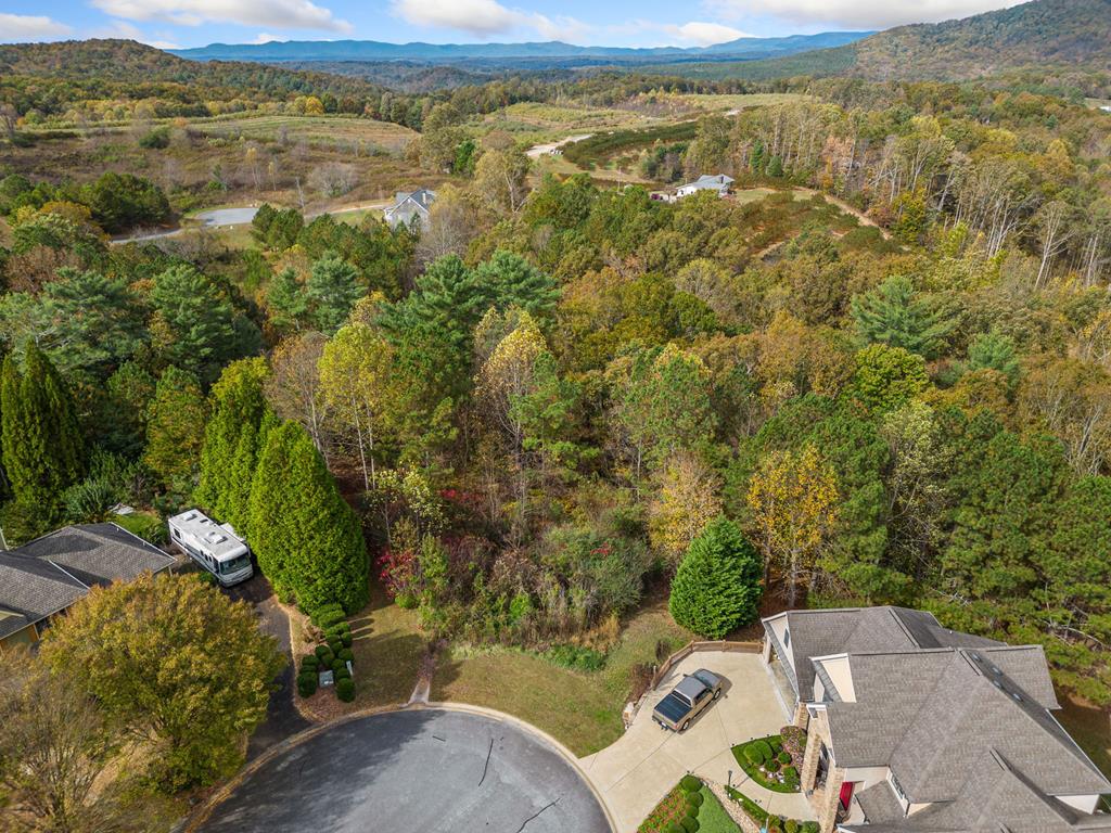 Lot 13 Ridgemont Drive Property Photo 19