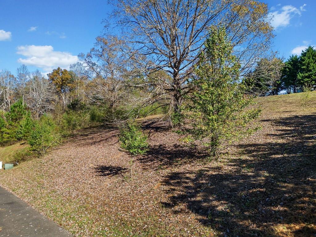 Lot 113 Oak Valley Court Property Photo 2