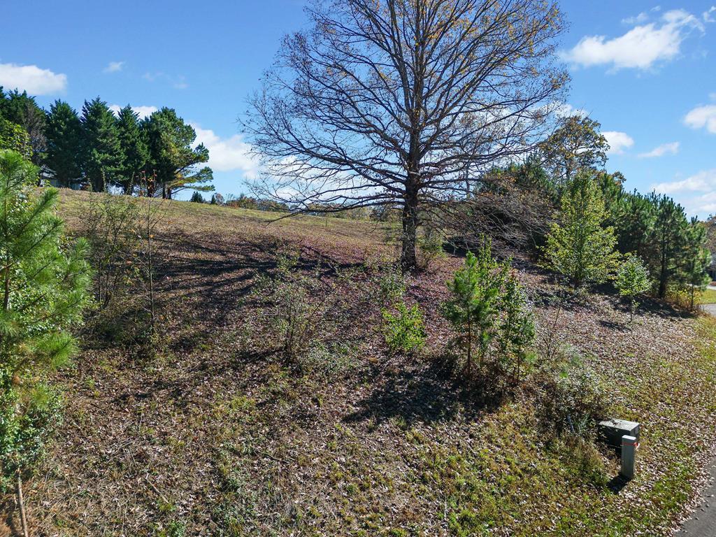 Lot 113 Oak Valley Court Property Photo 4