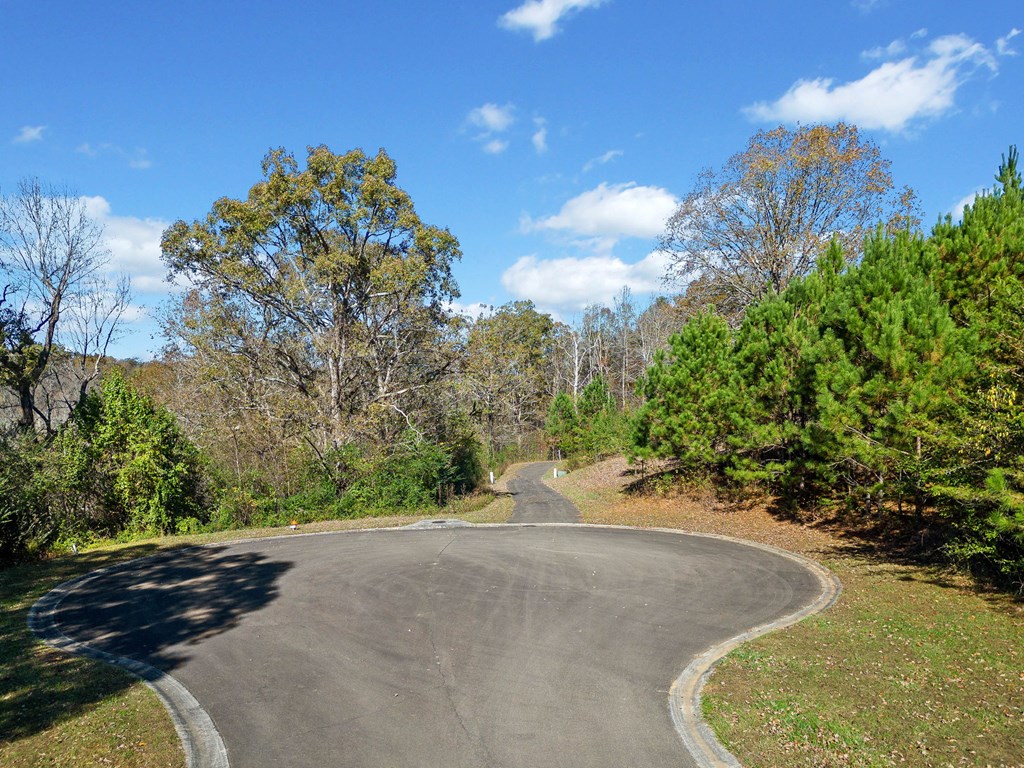 Lot 113 Oak Valley Court Property Photo 5
