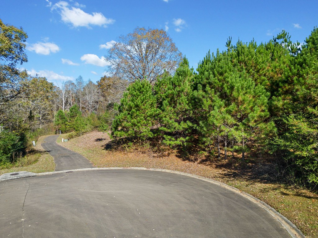 Lot 113 Oak Valley Court Property Photo 6