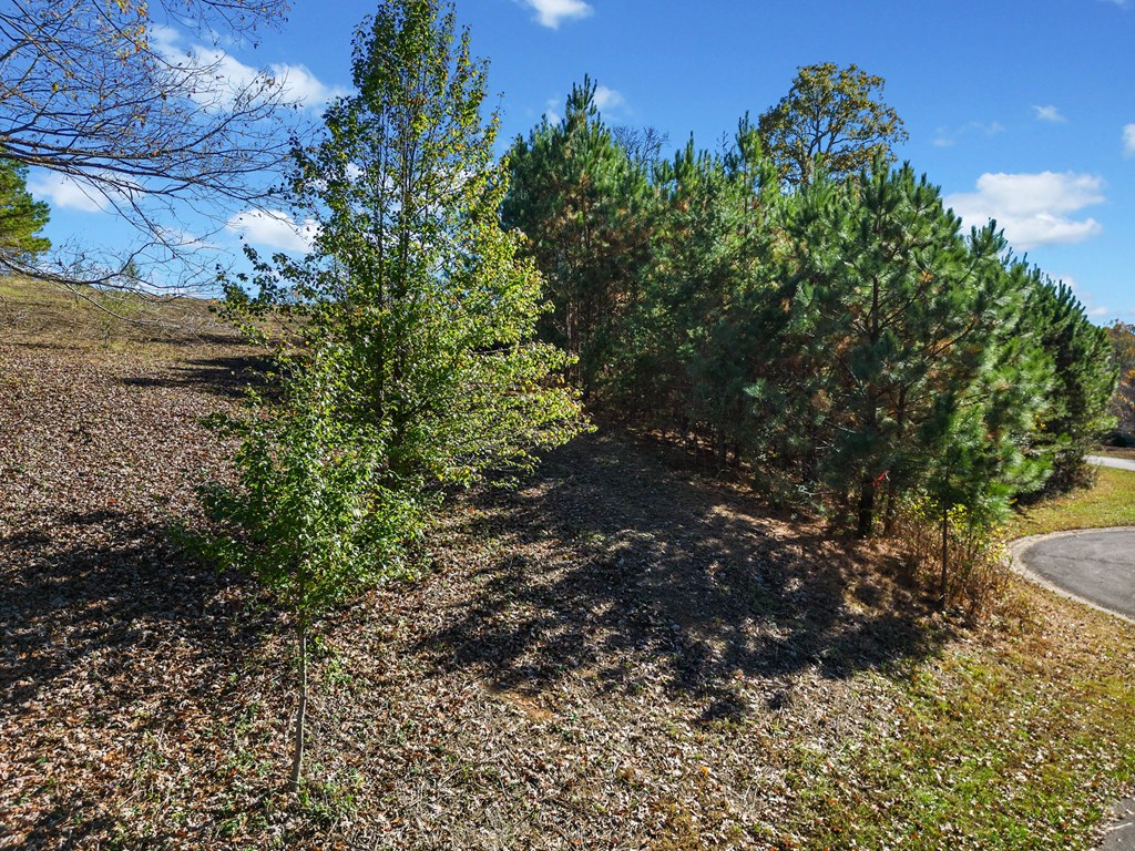 Lot 113 Oak Valley Court Property Photo 7