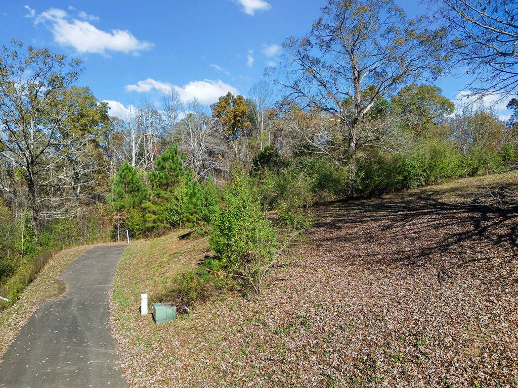 Lot 113 Oak Valley Court Property Photo 8